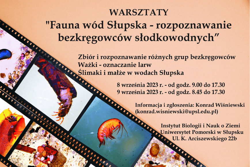 Warsztaty "Fauna wód Słupska - rozpoznawanie bezkręgowców słodkowodnych"