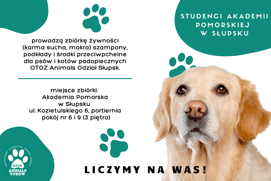 Zbiórka żywności i środków pielęgnacyjnych dla podopiecznych fundacji OTOZ Animals Odział Słupsk